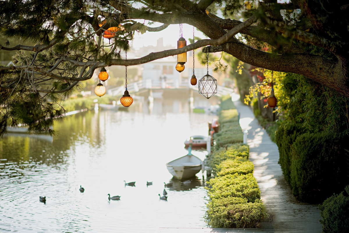 Brown Pendant Lamp Hanging on Trees